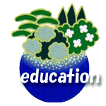 Education Icon